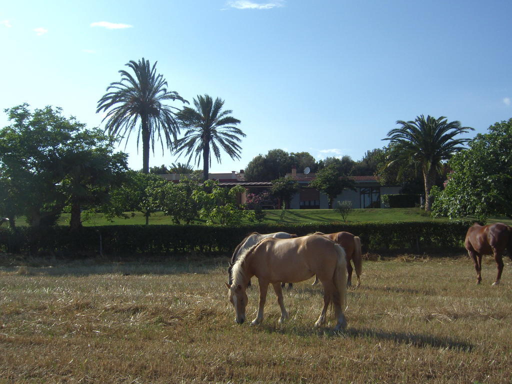 Santa Igia - Country House Elmas Exterior foto